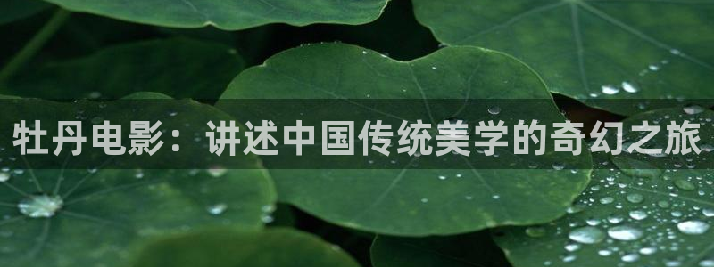 我们的婚姻免费观看全集西瓜