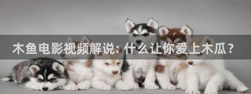 西瓜在线观看视频