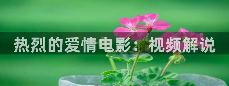 三分之一情人西瓜影院