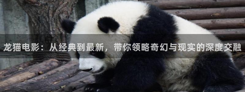 西瓜影院在线观看免费高清电视剧我是刑警