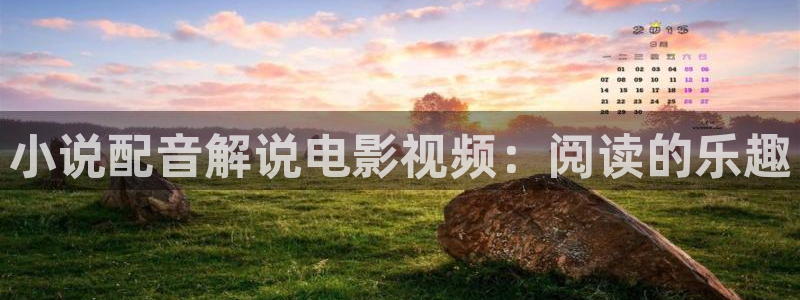 江照黎明在线观看免费西瓜