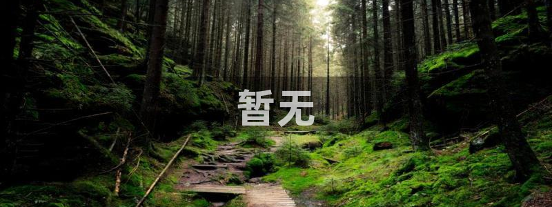 知否免费观看全集西瓜