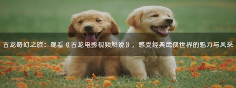 西瓜辽宁