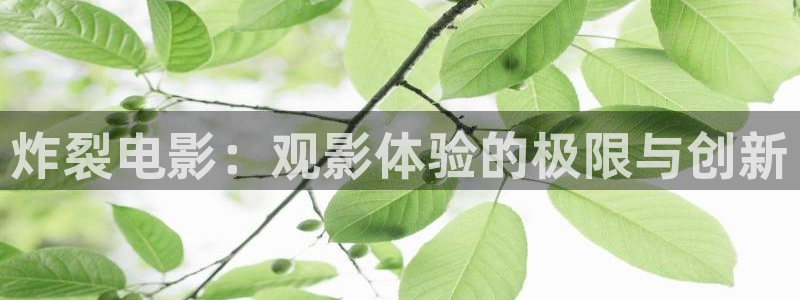 西瓜视频免费网站