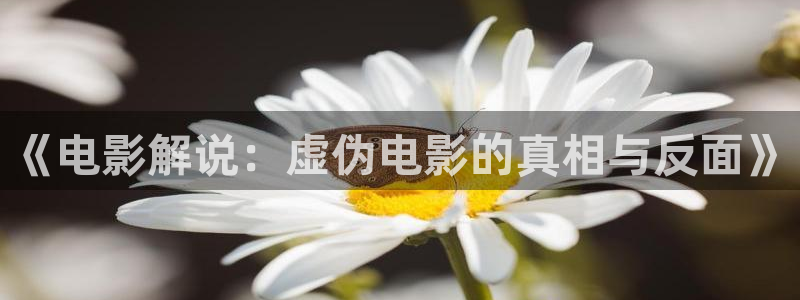 西瓜小视频