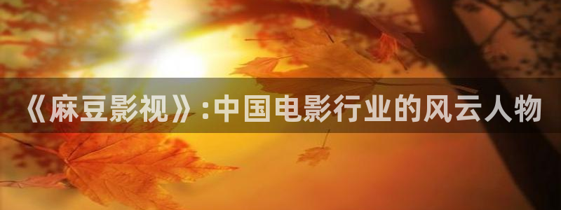 全职高手西瓜影院