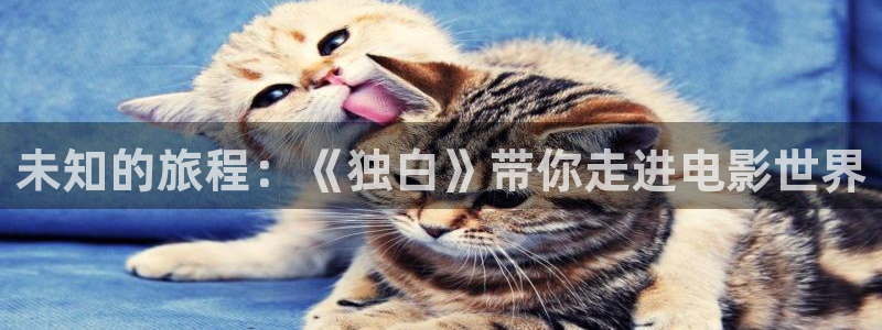 西瓜视频
