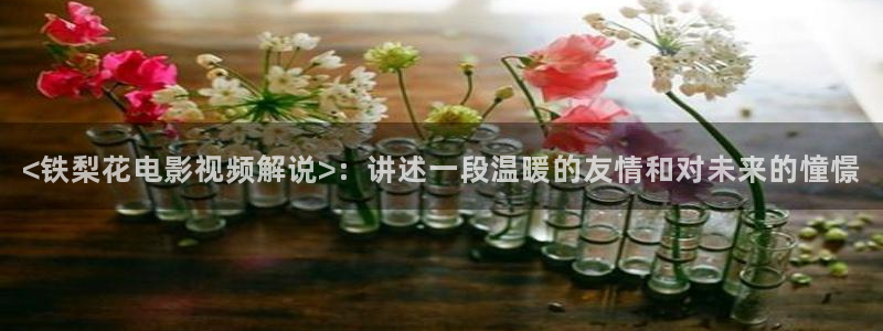 西瓜影音观看：<铁梨花电影视频解说>：讲述一段温暖的友情和对未来的憧憬