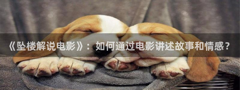 大西瓜影院：《坠楼解说电影》：如何通过电影讲述故事和情感？