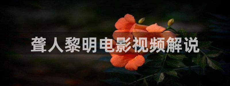 西瓜影院免费看电影