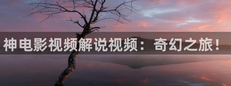 免费看西瓜电影：神电影视频解说视频：奇幻之旅！